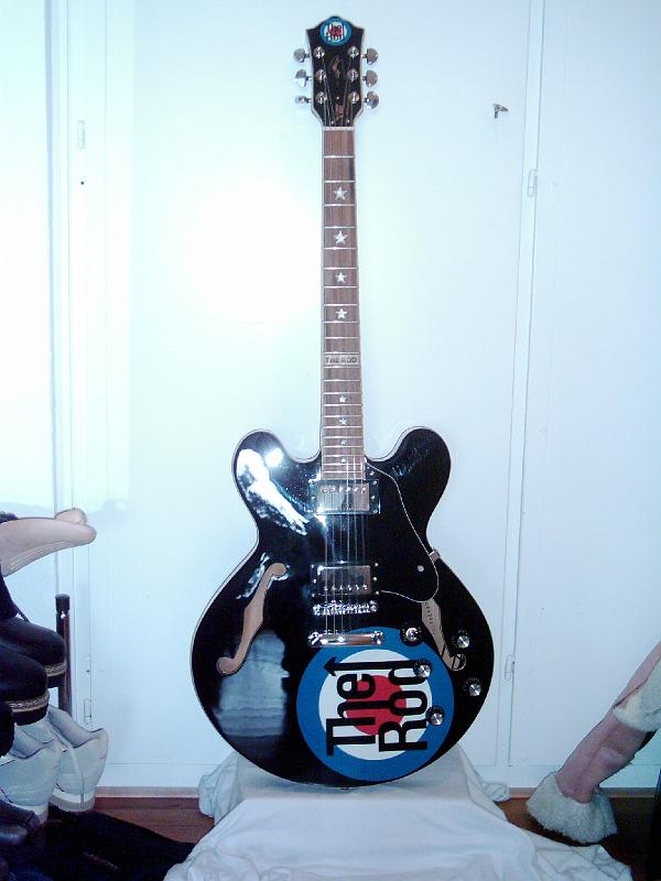 The Rod ES 335.JPG